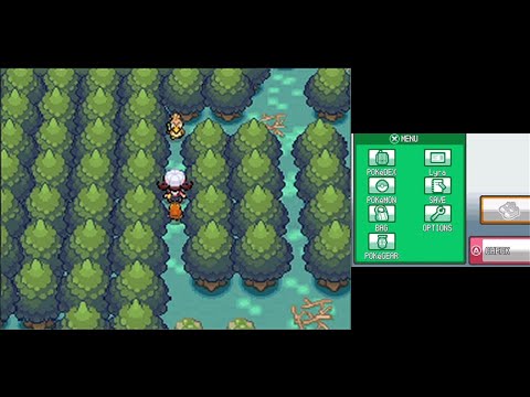 🔥 FARFETCH'D PUZZLE very Fast (Tutorial) in Pokemon GOLD HEARTGOLD and  SILVER SOULSILVER 