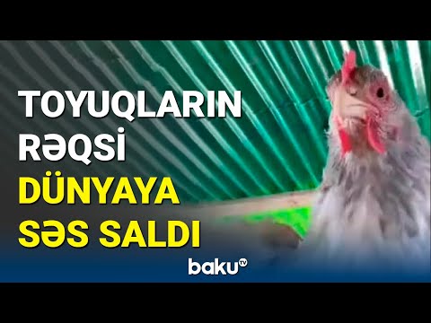 Virus sürəti ilə yayılan \