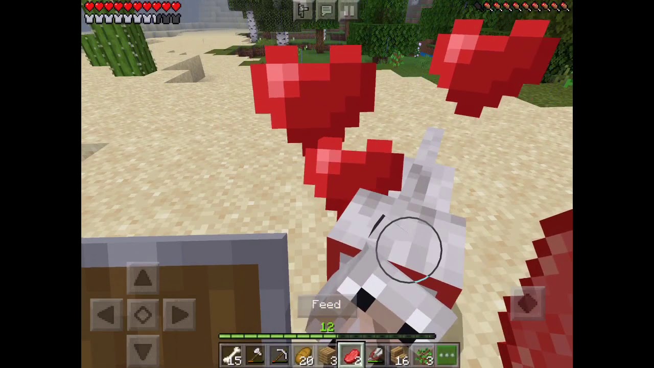 MINECRAFT RETURNS! Brand new friends(Minecraft #11)