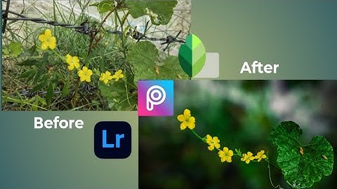 Moody flower editing tutorial |Blur bagground | Lightroom colour grading 🌿