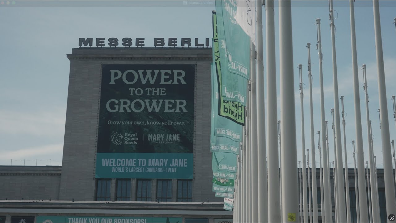 Royal Queen Seeds at Mary Jane Berlin 2025