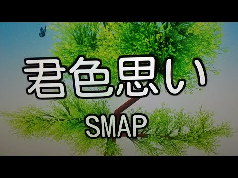 SMAP『君色思い』(カラオケ原曲キー)歌ってみた 最高音F#4