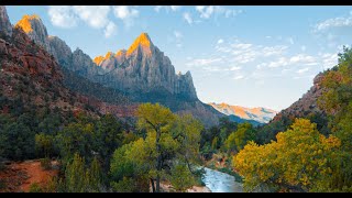 Graži Atpalaiduojanti Muzika - Miško Garsai su Relaksacine Muzika Miegui ir Meditacijai
