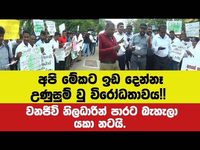 අපි මේකට ඉඩ දෙන්නෑ. උණුසුම් වු විරෝධතාවය!!වනජීවි නිලධාරින් පාරට බැහැලායකා නටයි.