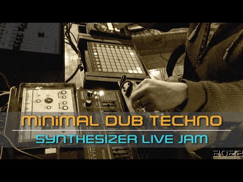 Minimal Dub Techno Live Session | Volca Keys | Model D