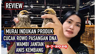 REVIEW HARGA CUCAK ROWO,WAMBI,ANIS KEMBANG 3-7-2026