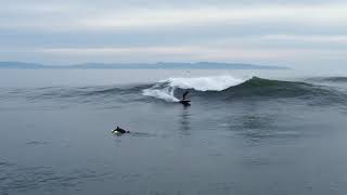 Best wave at Santa Cruz