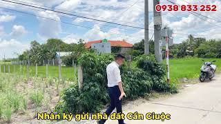 Đất Cần Giuộc Giá Rẻ || 300m2 thổ cư xây biệt thự, mặt tiền đường lớn, khu đông dân, giá rẻ