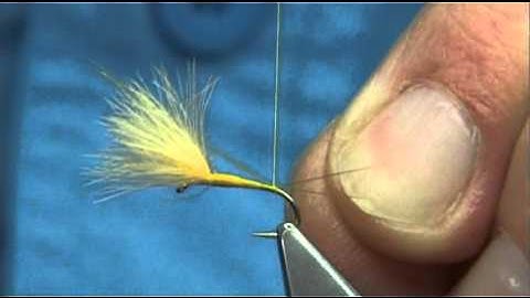 Tying the CDC Yellow May Dun by Davie McPhail.