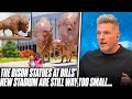 Bills Still Haven&#39;t Made The Statues Outside New Stadium Big Enough | Pat McAfee Reacts