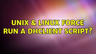 Unix Linux Force Run A Dhclient Script?