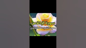 سورة الإخلاص بصوت الشيخ سعد الغامدي 💛🌼