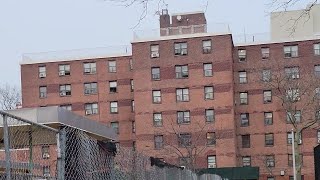 Hammels walk thru. forgot I had this. #farrockaway #queens #stackbundles #nyc #nycha #hood #farrock