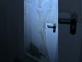 Ліхтарик в шапці то круто