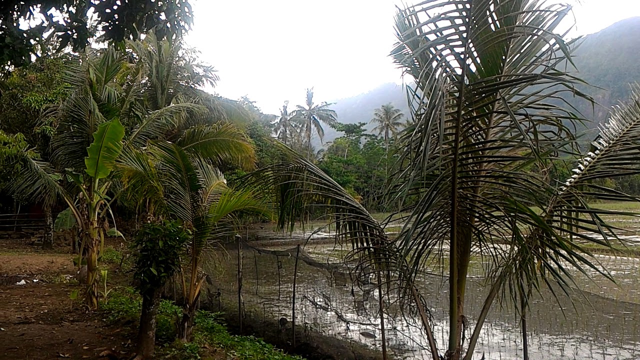 Suasana Penginapan Geopark Ciletuh Sukabumi Jawa Barat Part 1
