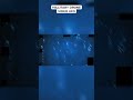 Metapod UFO Sightings?