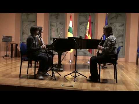 Luis Ruiz Aguirre - Concierto para clarinete n 114...