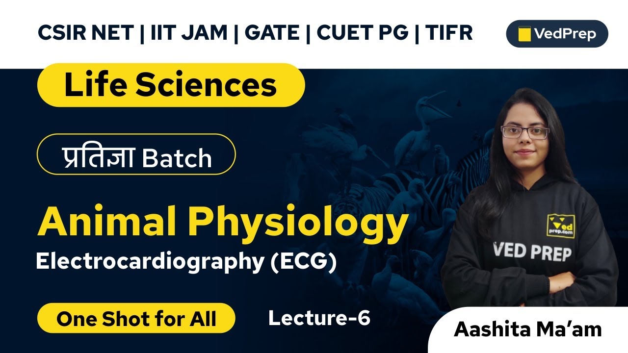 ECG Animal Physiology | Life Sciences | CSIR NET | IIT JAM | GATE | CUET PG| VedPrep Biology Academy