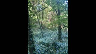 Let’s take a hike