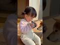 スピードはやっwwww #ai #犬 #shorts