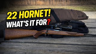 22 Hornet? What's it for? #gunstuff