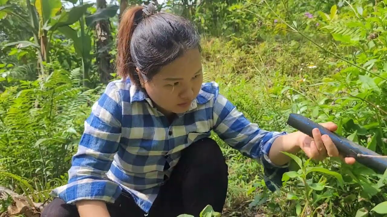 Climb up the high ravine to clear the clogged water pipe due to too much rain and the end