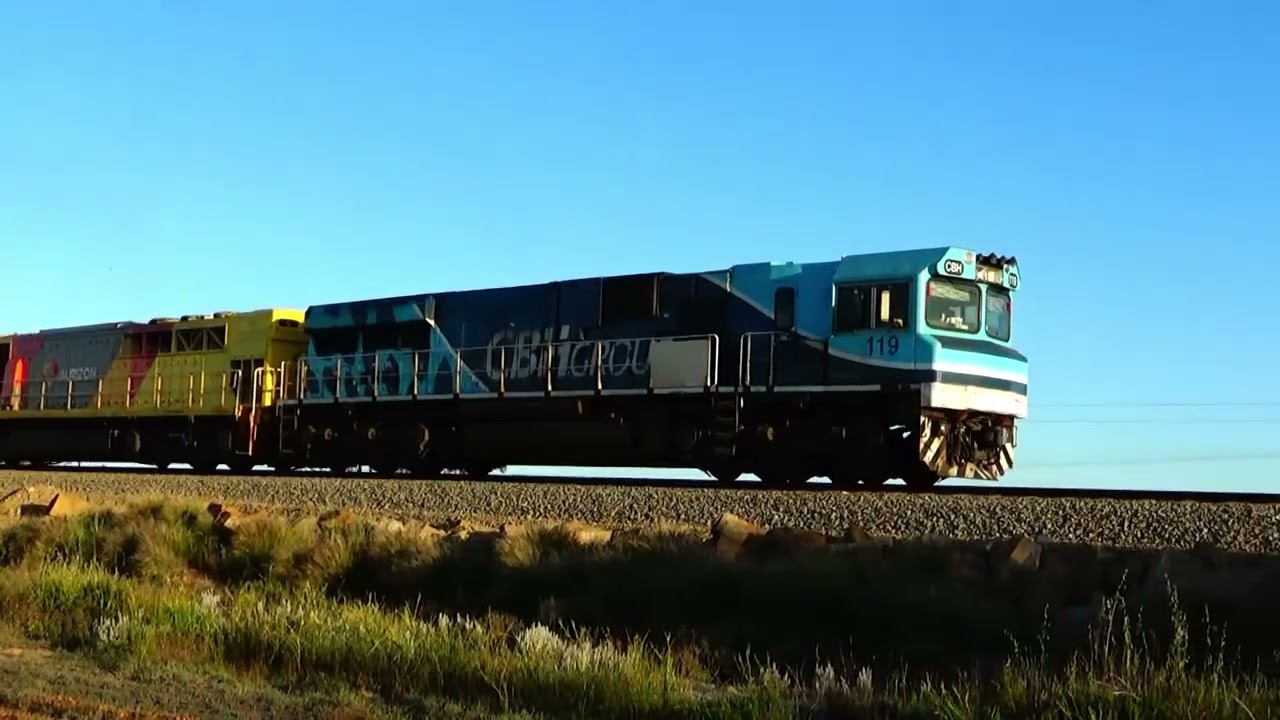 CBH118, CBH120, Q4014. 6S56 loaded grain, TOODYAY. CBH119, Q4004, Q4011. 6S58 loaded grain MECKERING