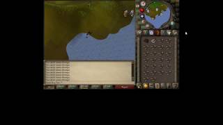 OSRS Training Fishing, Woodcutting, Fire making, and Melee in One Shot! (Beginner)