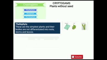 Metropolitan School Aug Week 1 Class 6 Science Lesson