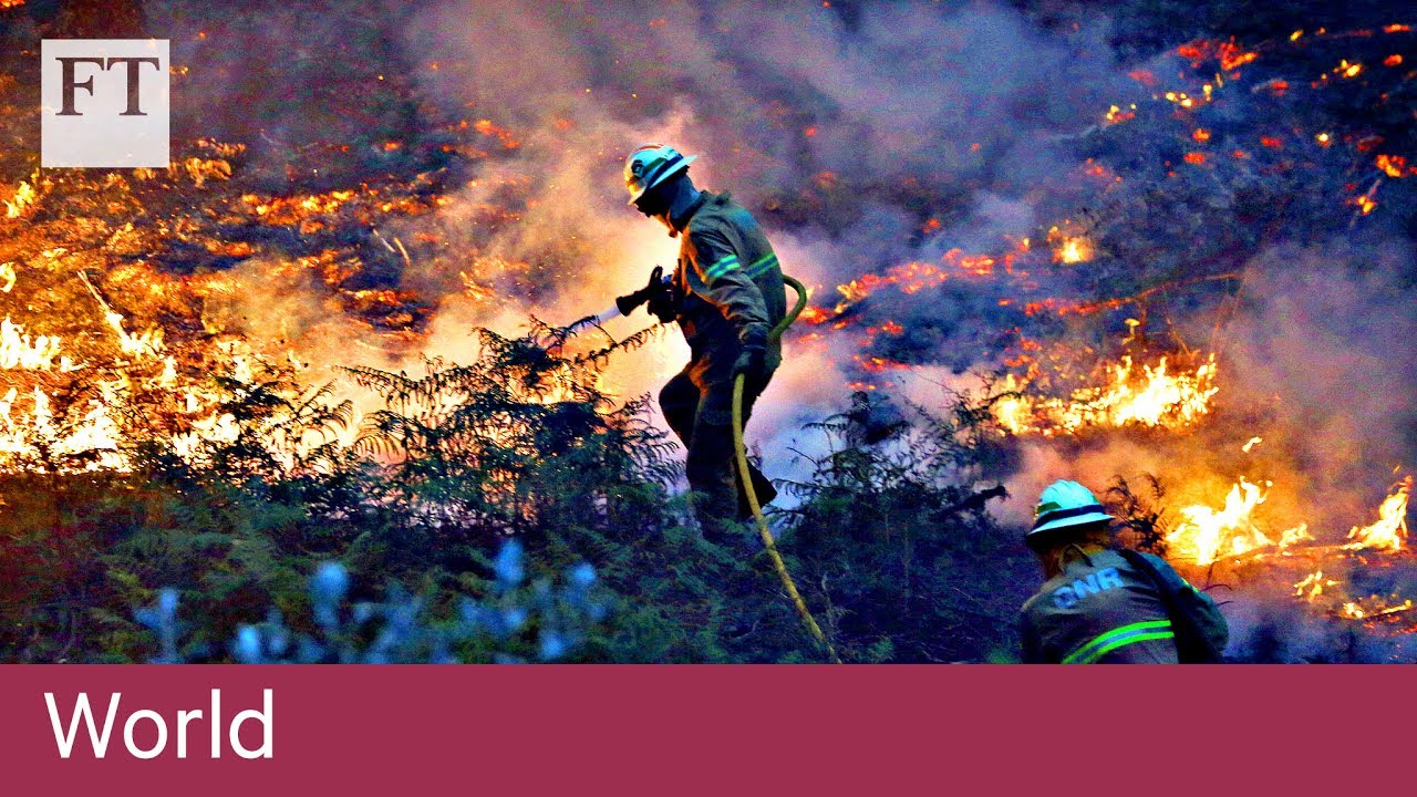Film backdrop image for Portugal wildfires rage (2017)