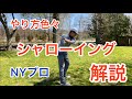 シャローイング解説