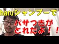 haruシャンプーとメリットシャンプーを比べてみた。