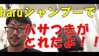 haruシャンプーとメリットシャンプーを比べてみた。