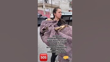 PLEASE DONT SCROLL WITHOUT DONATING ANY AMOUNT TO HELP #usa #rescue #canada #reels #viral #trend