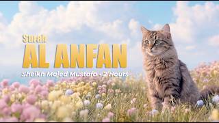 Surah Al-Anfal by Majed Mustafa • Beautiful Quran Recitation • Peaceful Flower Field 🌸 | Sakina