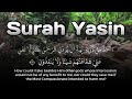 Comforting Recitation | Surah Yasin Beautiful Tilawat - Morning Blessing