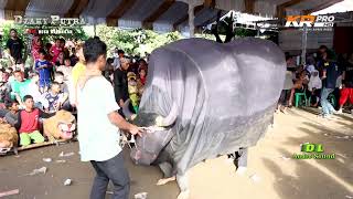 Download Lagu KEBO NGAMUK / MANUK DANGDUT / DZAKY PUTRA / RASUL / IIS NURBELLA / EDISI 07 - 11- 2022 / BALONGAN MP3