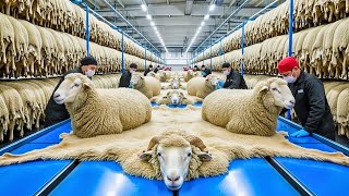 Inside the Sheep Wool Blanket Factory: From Farm to Finished Kambal (Full Process)
