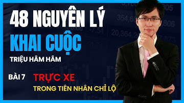 Triệu Hâm Hâm - 48 Nguyên Lý Khai Cục - Bài 7 Trực Xe Trong Tiên Nhân Chỉ Lộ