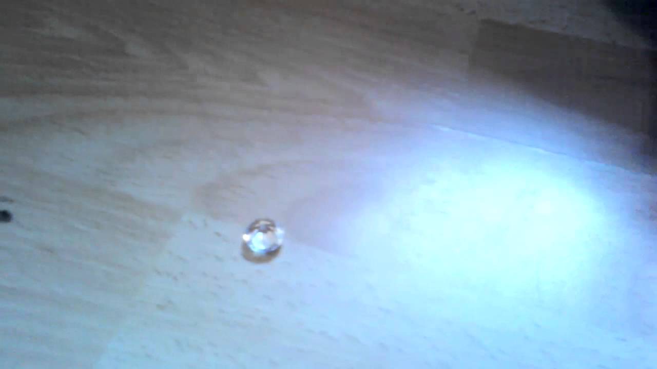 Little miss pet shop toys YouTube