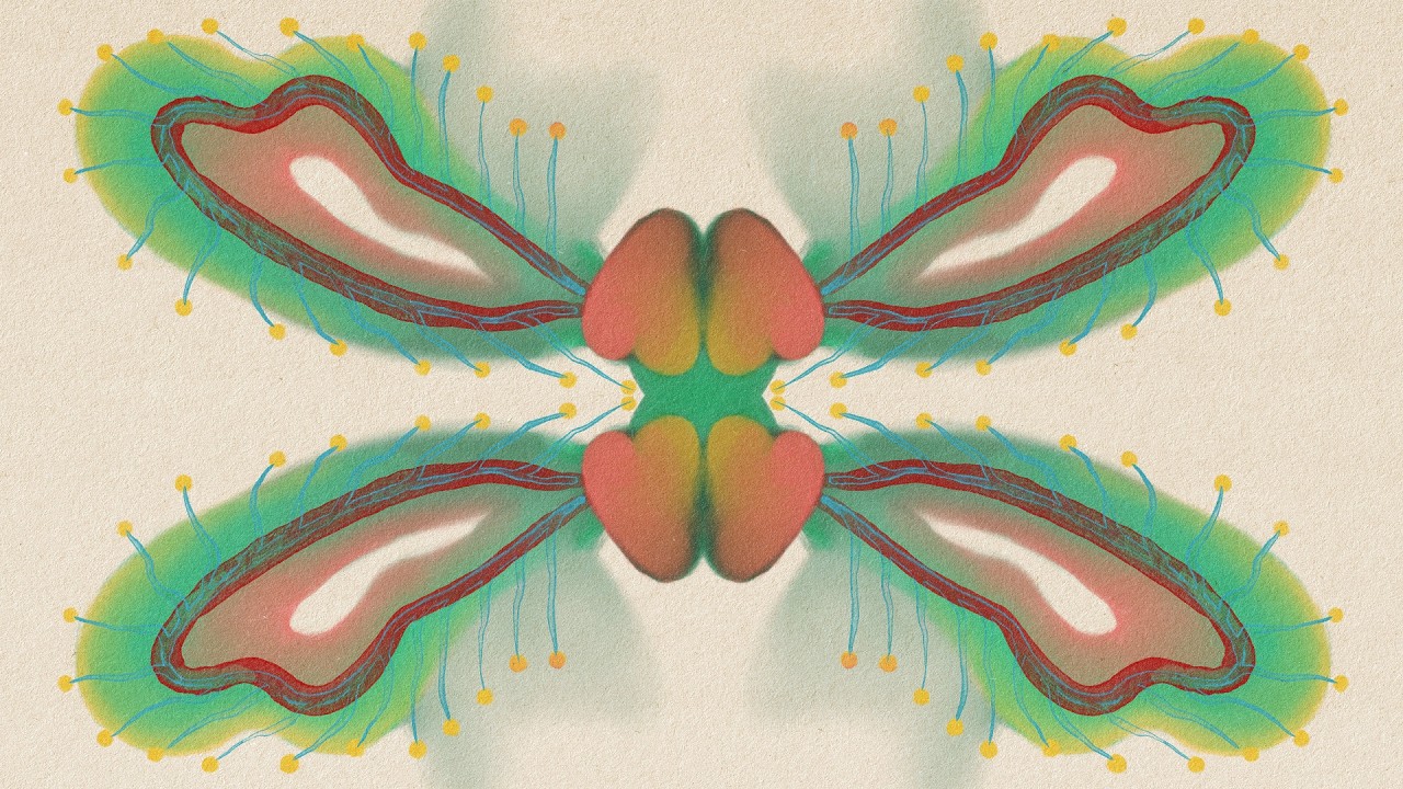 Break 𝒻𝓇𝑒𝑒 - Dissolve Limiting Beliefs 🍀 Reiki-Infused Art Subliminal