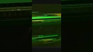 Julian Marley - Natural Mystic (Live) #bobmarley #reggae #music #shortsfeed #shorts