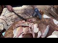 10 Different Varieties of Fish Cutting&  Scaling in Kasimedu Fish Market