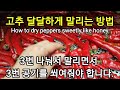 고추가 꿀향기 동띠기 나게 건조하는 방법 How to dry peppers sweetly like honey