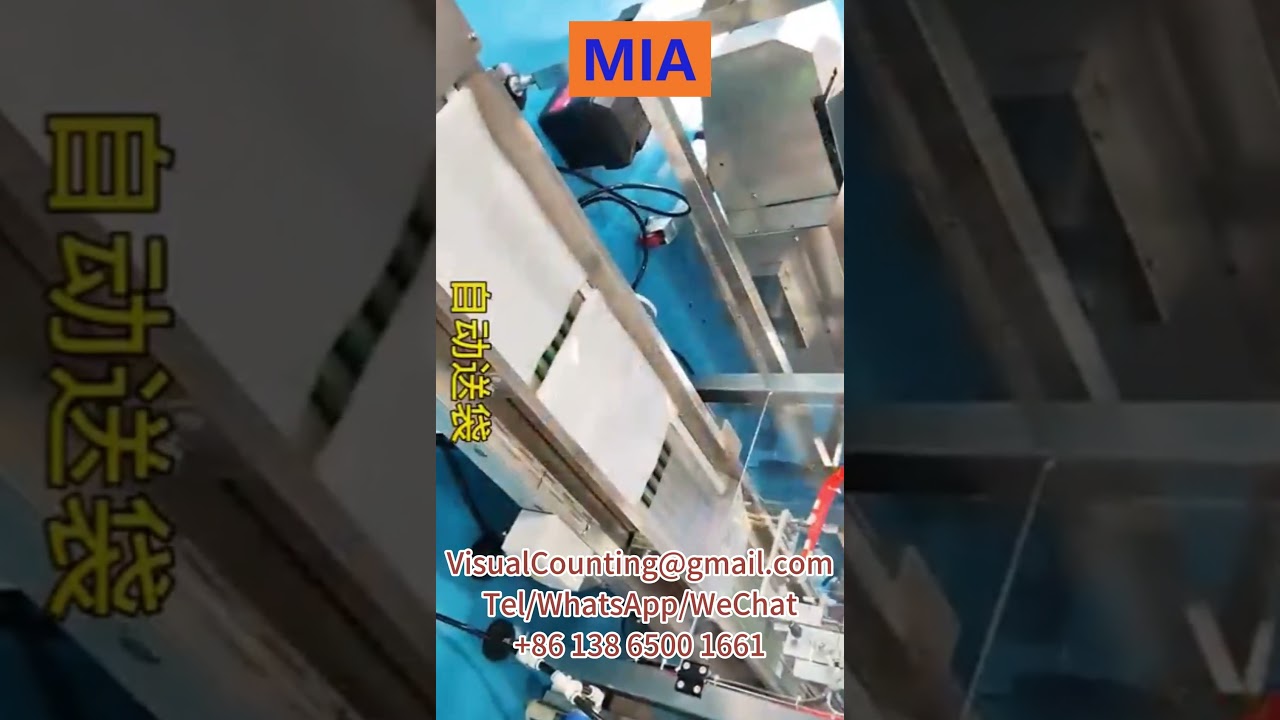 Terminal Vision Counting Machine Packaging Machine Manufacturer Supplier Price in India Russia Japan