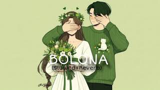 Bolana 👀 (slowed+Reverb) lofi song lyrics 🎶🎵