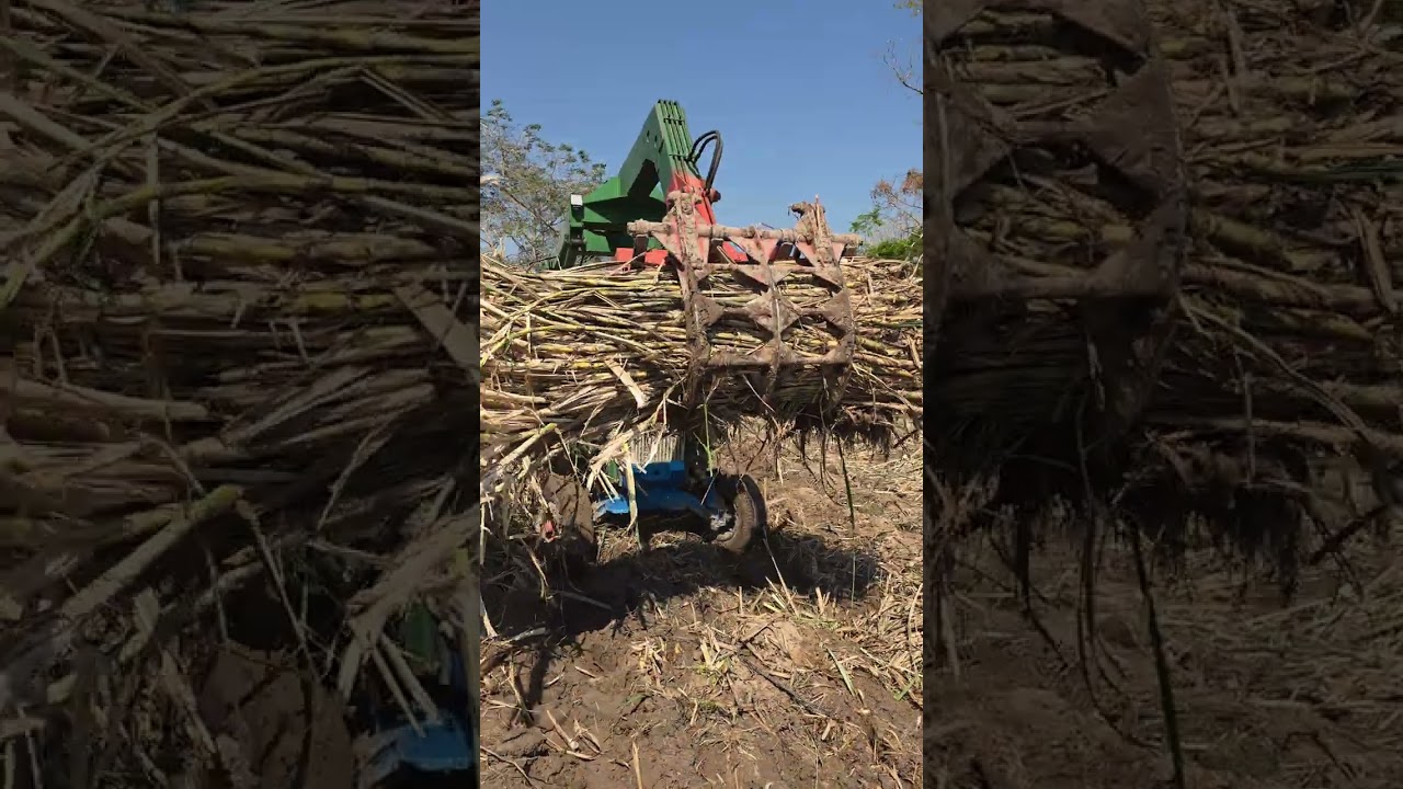 ดันอย่างเดียวโก๋แขกอย่าไปกลัวจม