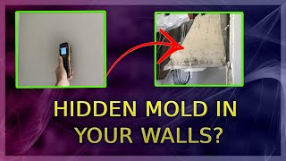 Black Toxic Mold Hidden In Your Walls? You Need To Do This