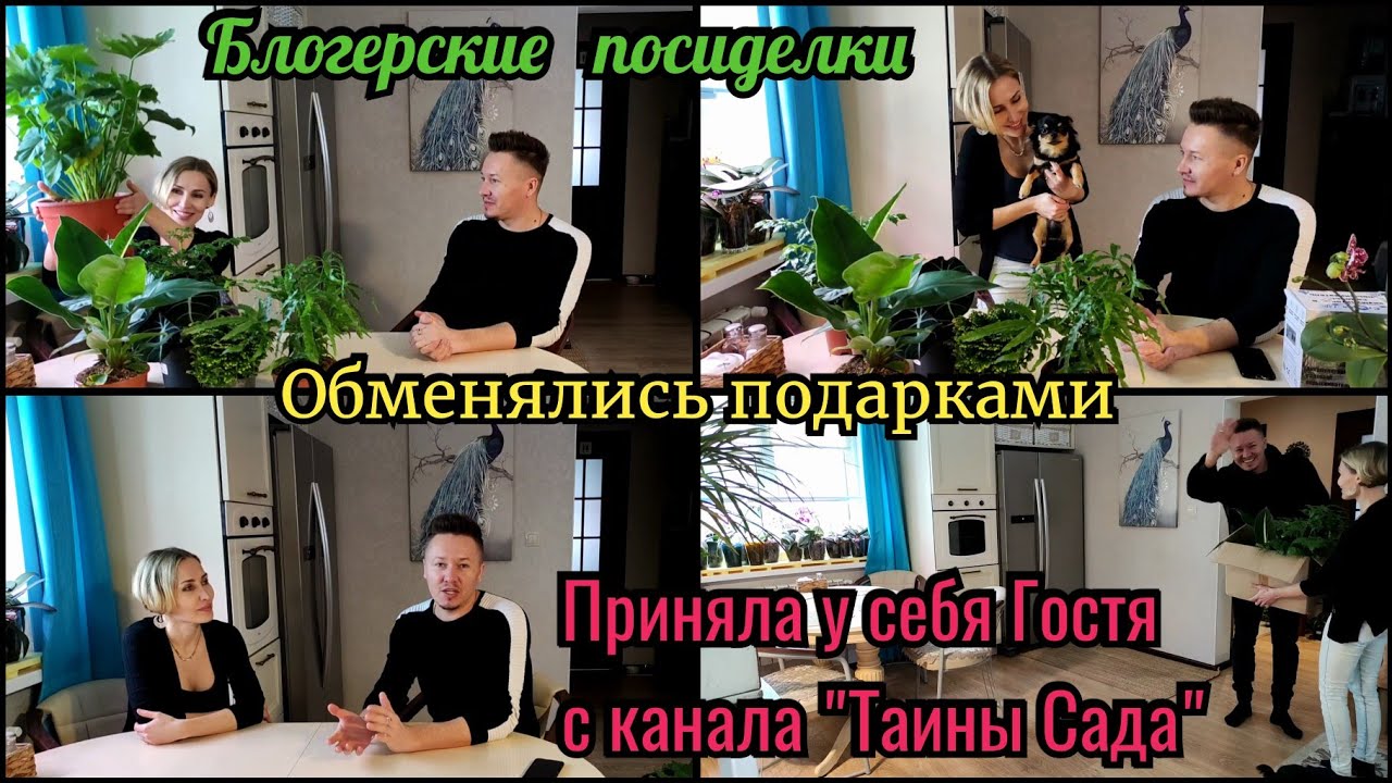 Денис артемов сад это не картина а язык