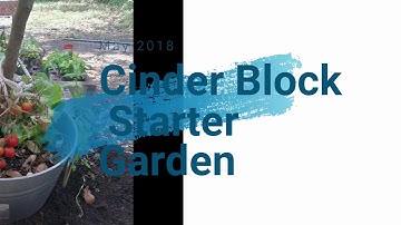 Cinder Block Garden
